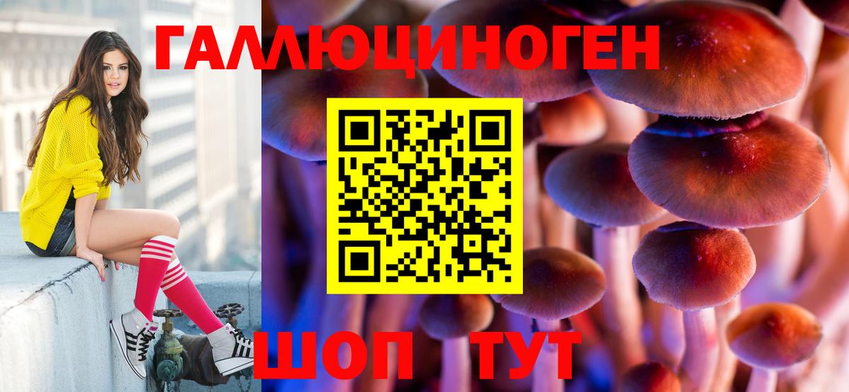 Галлюциногенные грибы Cubensis  Вход с VPN  Советский 